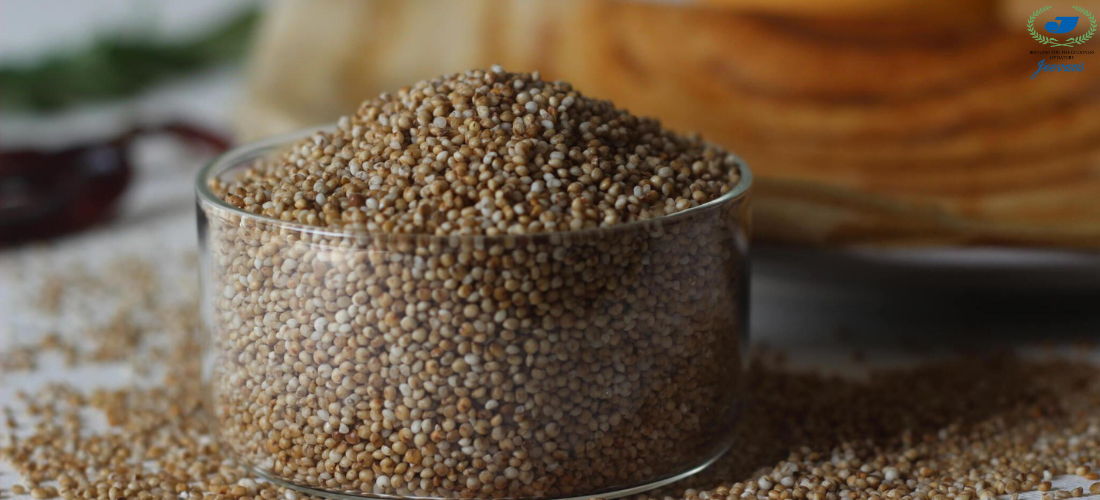 Millets Magic: Crafting Delicious and Nutritious Organic Millet Recipes