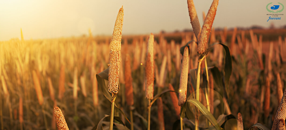 The Incredible Benefits of Millets: A Superfood for Your Health