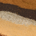 The Role of Millets in Managing Lifestyle Diseases: Diabetes, Obesity, and Beyond