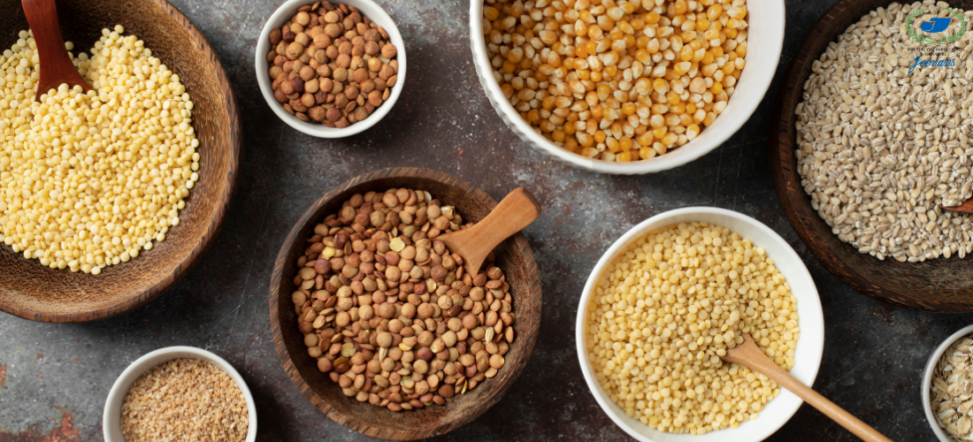 From Tradition to Trend: Why Millets Are Making a Global Comeback | Health & Sustainability