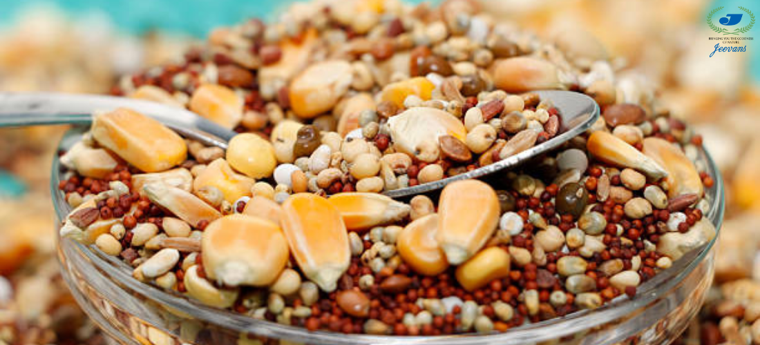 Reviving Millet-Based Wellness in India | Jeevans House Nutrition