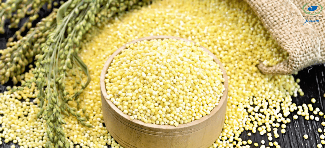 The Legacy of Millets in Indian Nutrition: What Makes Millets a Smart Choice Today