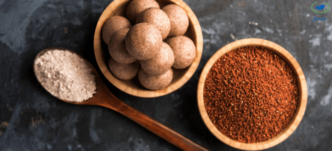 Sprouted Millets Explained: Why Sprouting Enhances Nutrient Absorption