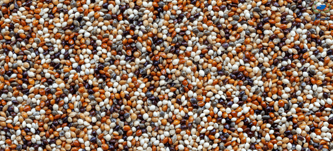 Multi Millet Powder for Weight Loss: Benefits & Usage Guide
