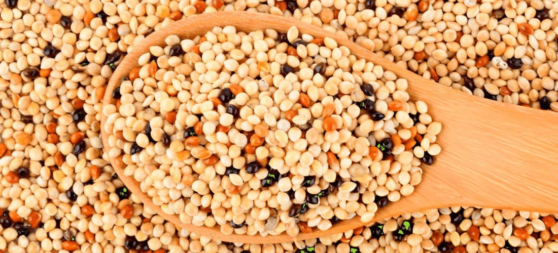 What is Multi Millet? Benefits, Uses & Diet Guide