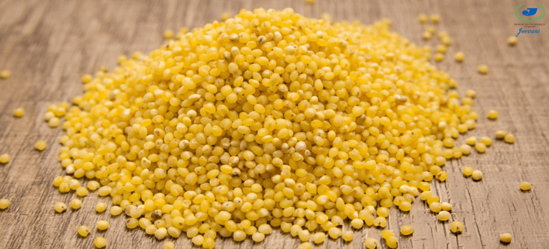 Little Millet: Nutrition, Benefits, Uses & Why You Should Add It to Your Diet