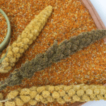 Little Millet Benefits: Nutrition, Health Advantages & Daily Uses