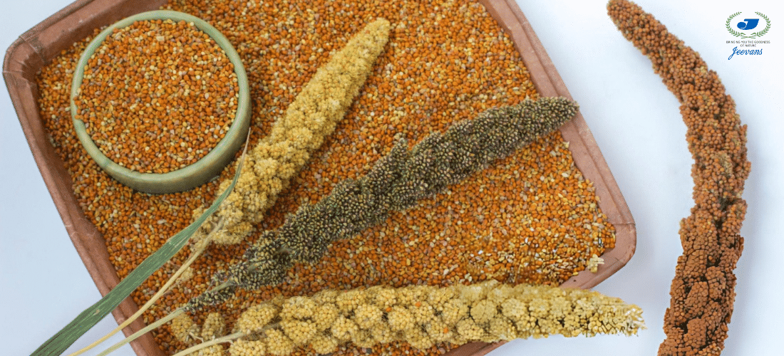 Little Millet Benefits: Nutrition, Health Advantages & Daily Uses